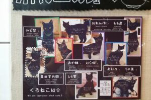 黒猫センチメートル看板
