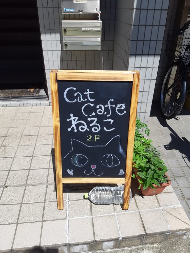 catcafeねるこ